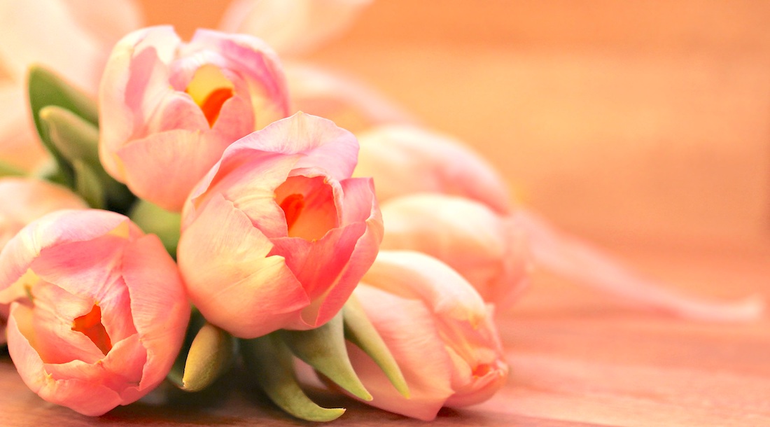 フラワーアレンジ 花セラピー ピンクの癒し 富山市のカルチャー教室 ココスタ